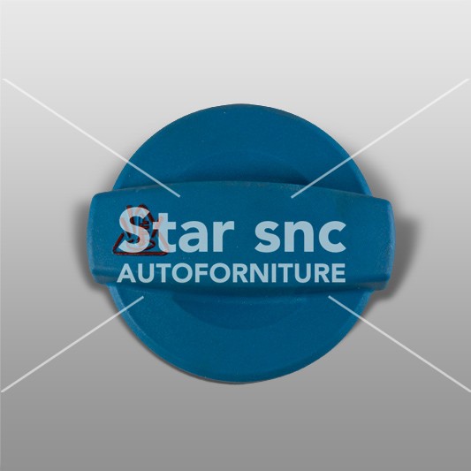 Radiator cap suitable for A4, A6 e A8 – EAN 8E0121321